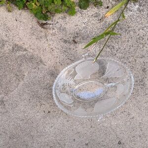 Clear Embossed Glass Serving Bowl with Seashell Motif
